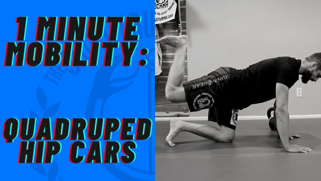 1 Minute Mobility Quadruped Hip CARs