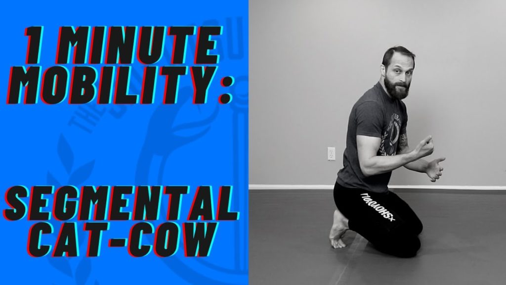 1 Minute Mobility - Segmental Cat Cow