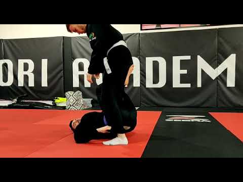 1 leg x guard - double ankle sweep