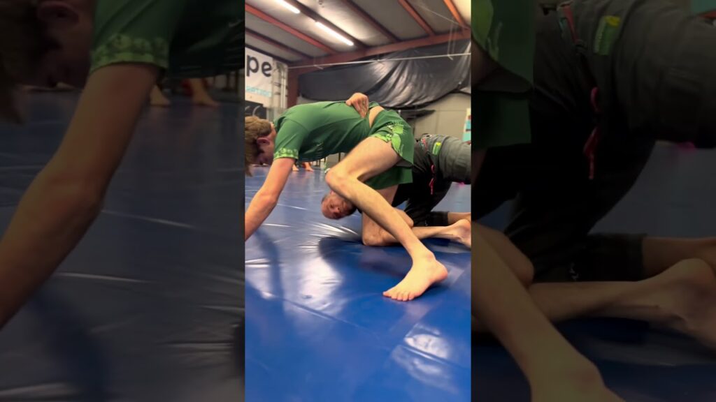 1/4 Guard to Twister 🌪️ #jiujitsu #bjj