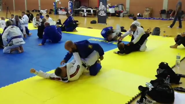 BJJ SUMMER WEEK
