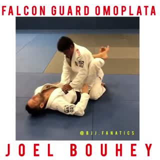 Falcon Guard instructional on BJJ Fanatics http://bit.ly/2wRWpLH