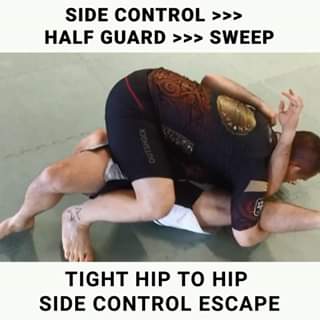 Side Control > Half Guard > Sweep