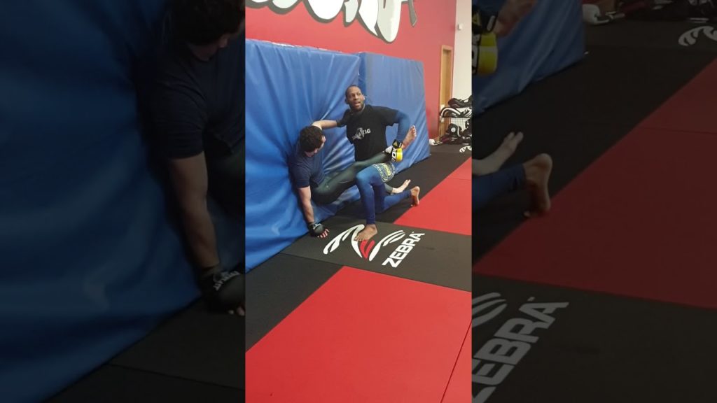 Nathan Jones (Mr Bag & Tag) MMA seminar - Wall Work - Hip in & Ankle pick