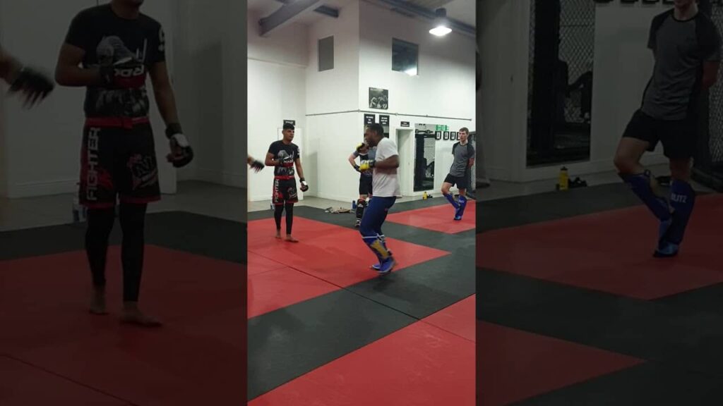 Nathan Jones (Mr Bag & Tag) striking seminar - Vary the strike level