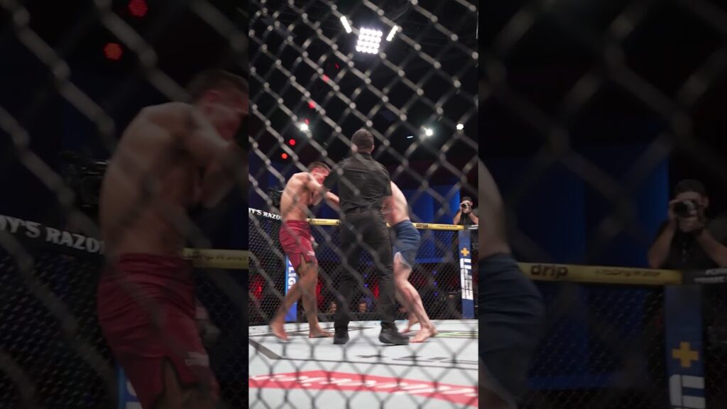 256 strikes landed by Zynukov! 😮 #dwcs9