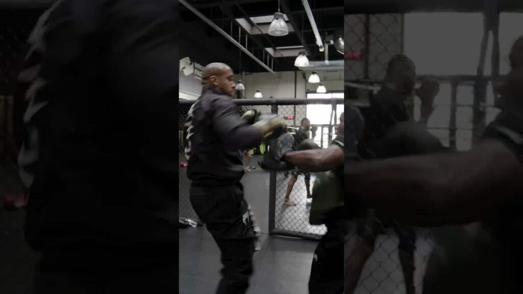 A NEW heavyweight champion will be crowned at UFC 285! π