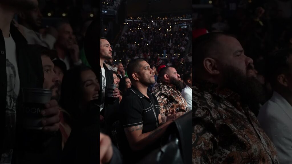 Alex Pereira reacting to Prochazka vs Hill 👀 #UFC311