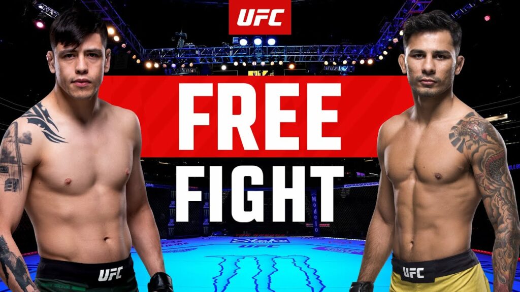 Alexandre Pantoja vs Brandon Moreno 1 | FREE FIGHT | UFC 290