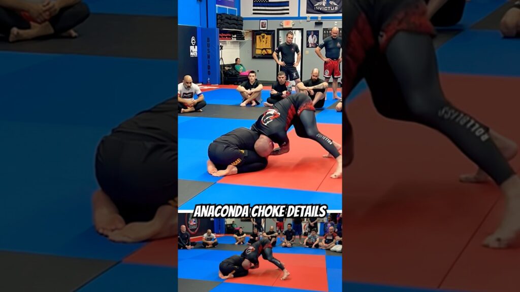 Anaconda Choke Details