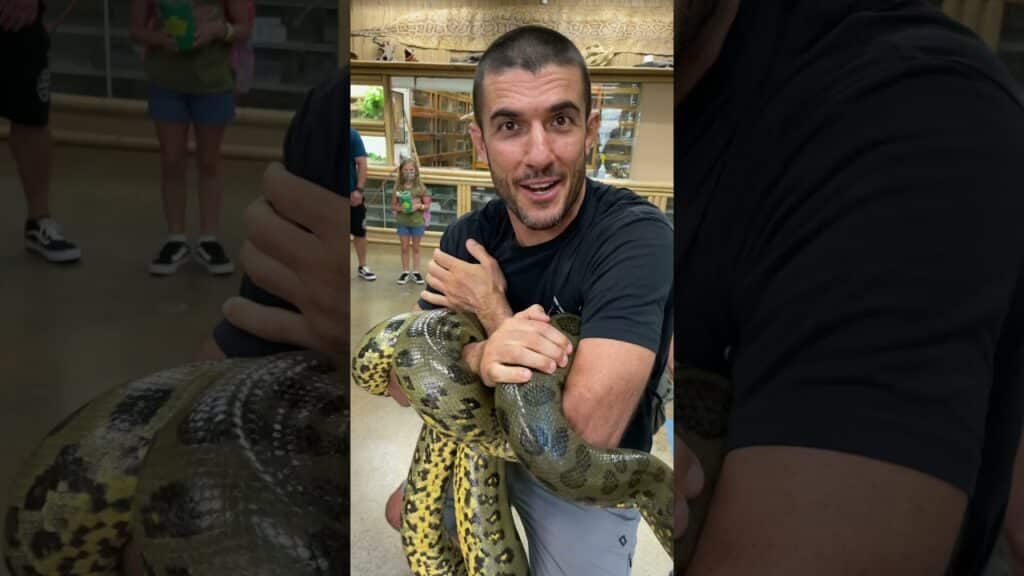 Anaconda Choke on an ANACONDA!