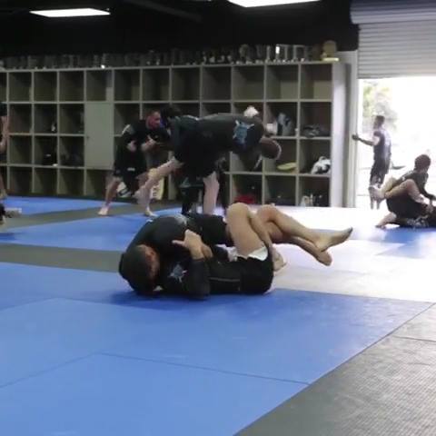 Andre Galvao - Peruvian Necktie