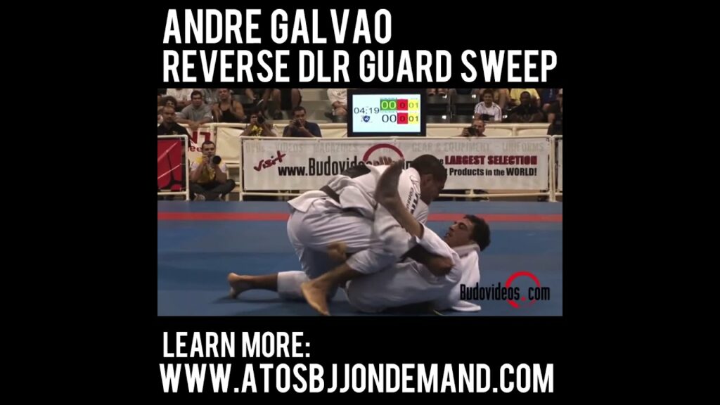 Andre Galvao Reverse DLR Sweep - IBJJF Worlds 2008 Finals