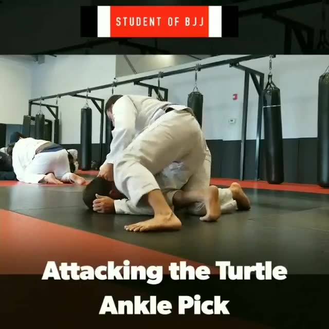 Attacking the Turtle Ankle Pick