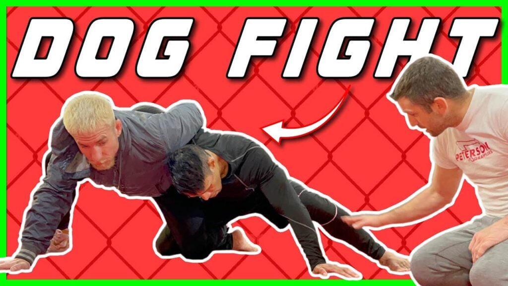 BASICS of the Dog Fight Position!
