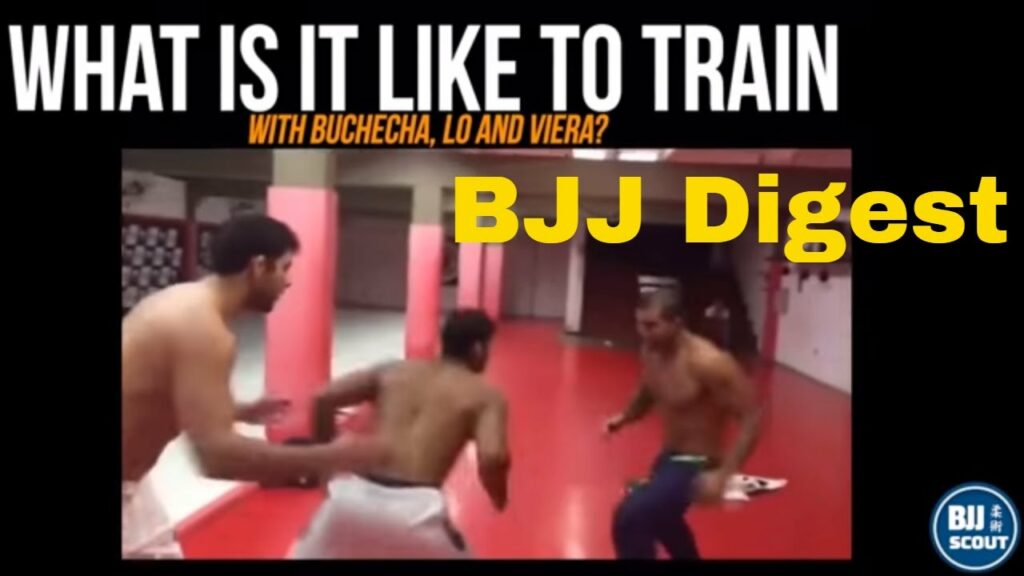 BJJ Digest #39: Sauer Backtracks, Royce slams S--t talkers, Osiander on sport jj & More