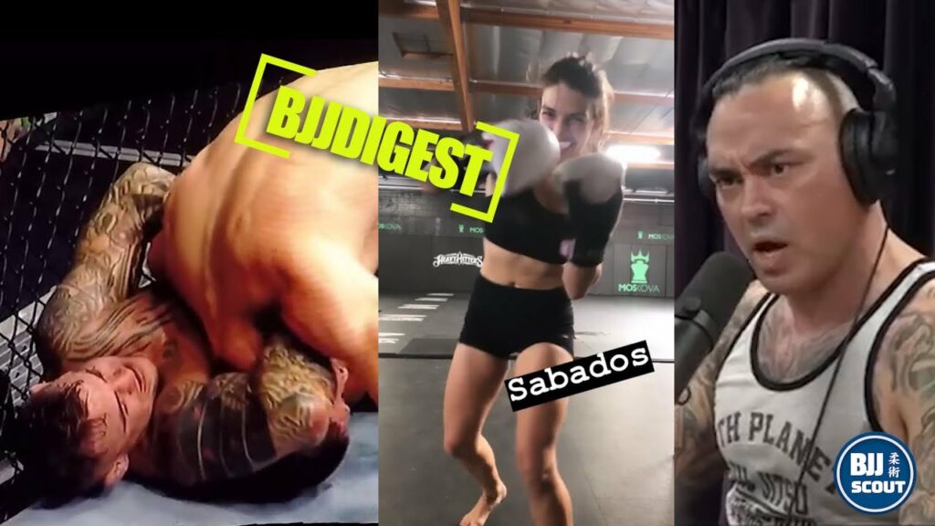 BJJ Digest: Khabib never taps, Dern to grapple again, Eddie Bravo forbidden to roll