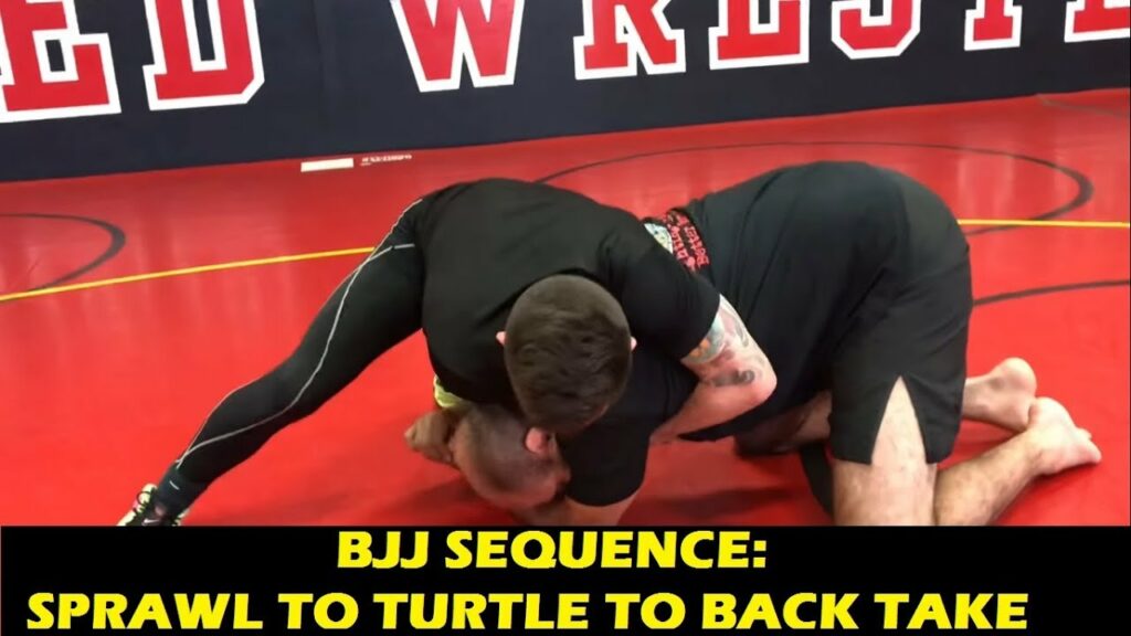 BJJ Sequence: Sprawl To Turtle To Back Take by Bruno Bulldog