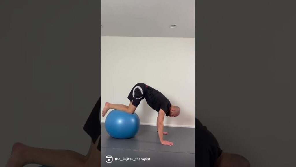 BJJ Solo Drill For Hip and Back Mobility - Hip Switch #shorts