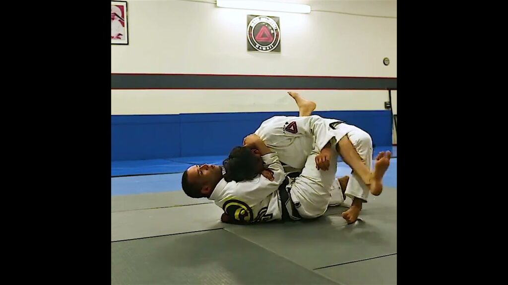 BUTTERFLY ELEVATOR SWEEP From FALCON GUARD 2 by Joel Bouhey