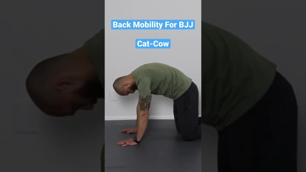 Back Mobility For BJJ - Cat-Cow #shorts