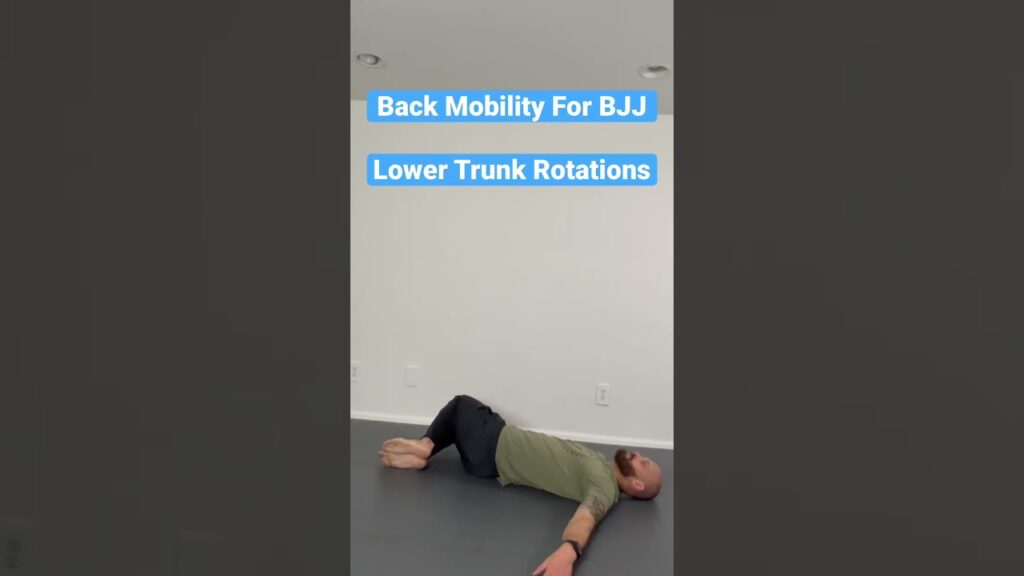 Back Mobility For BJJ - Lower Trunk Rotations #shorts