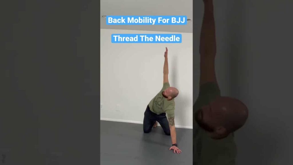 Back Mobility For BJJ - Thread The Needle #shorts