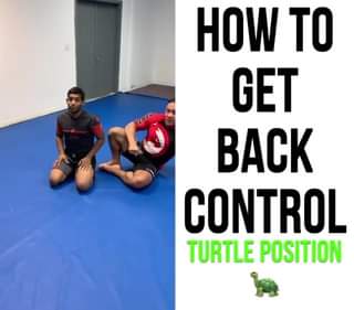 Back Take Vs. The Turtle Position