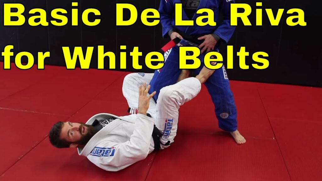 Basic De La Riva Sweep for White Belts with Position Details