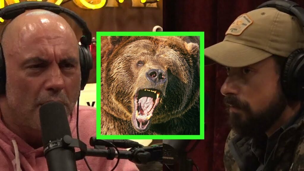 Ben O'Brien's Grizzly Bear Encounter