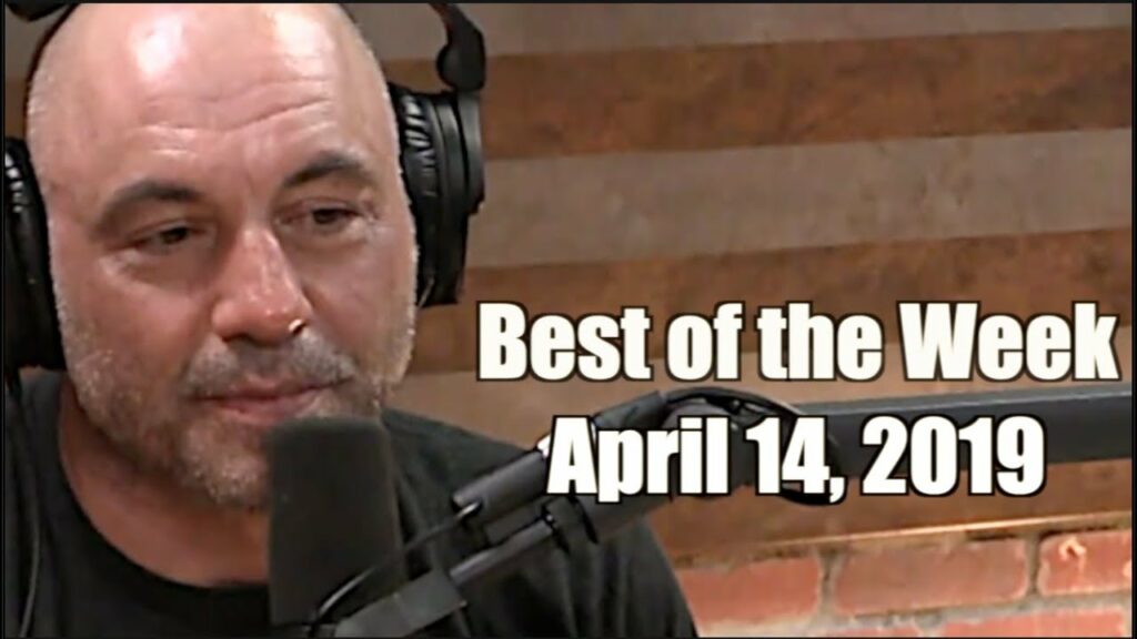 Best of the Week - April 14, 2019 - Joe Rogan Experience