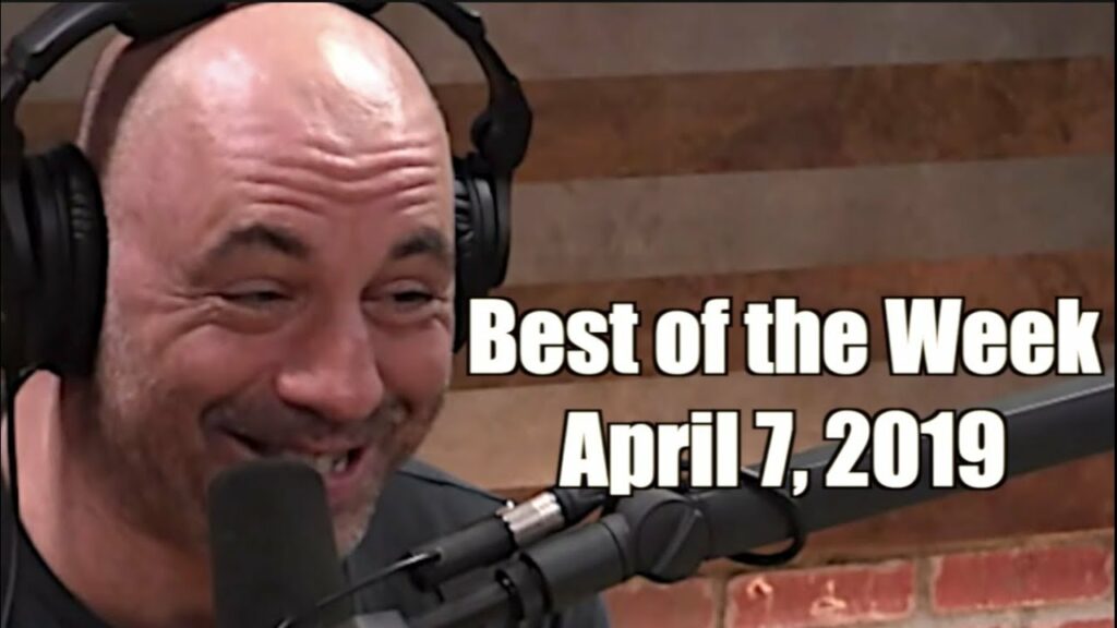 Best of the Week - April 7, 2019 - Joe Rogan Experience