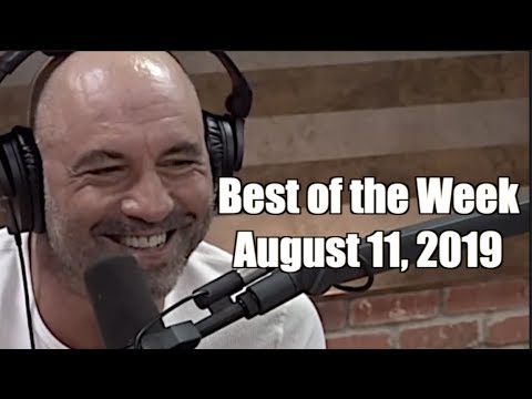 Best of the Week - August 11, 2019 - Joe Rogan Experience