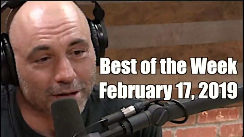 Best of the Week - February 17, 2019 - Joe Rogan Experience