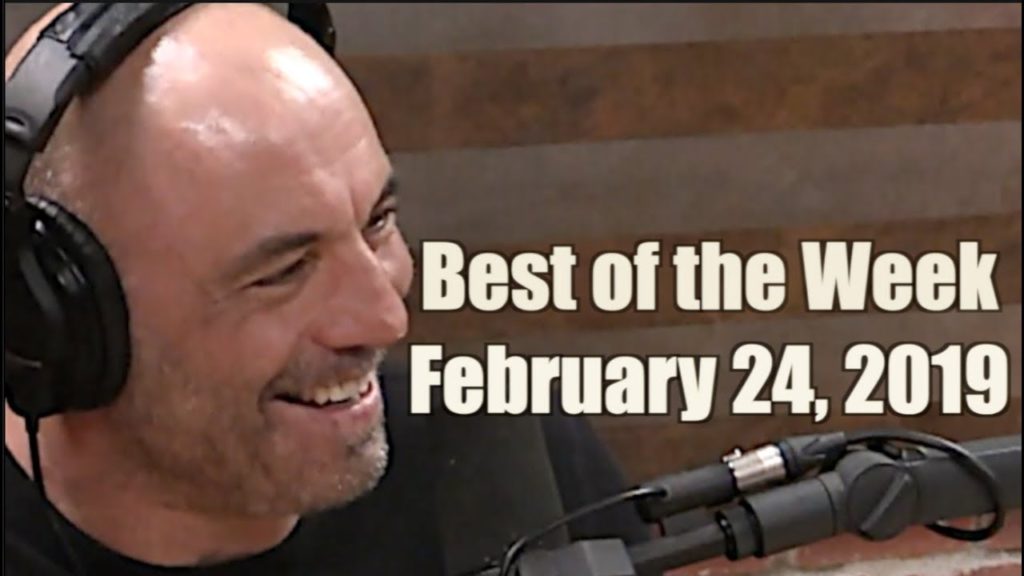 Best of the Week - February 24, 2019 - Joe Rogan Experience