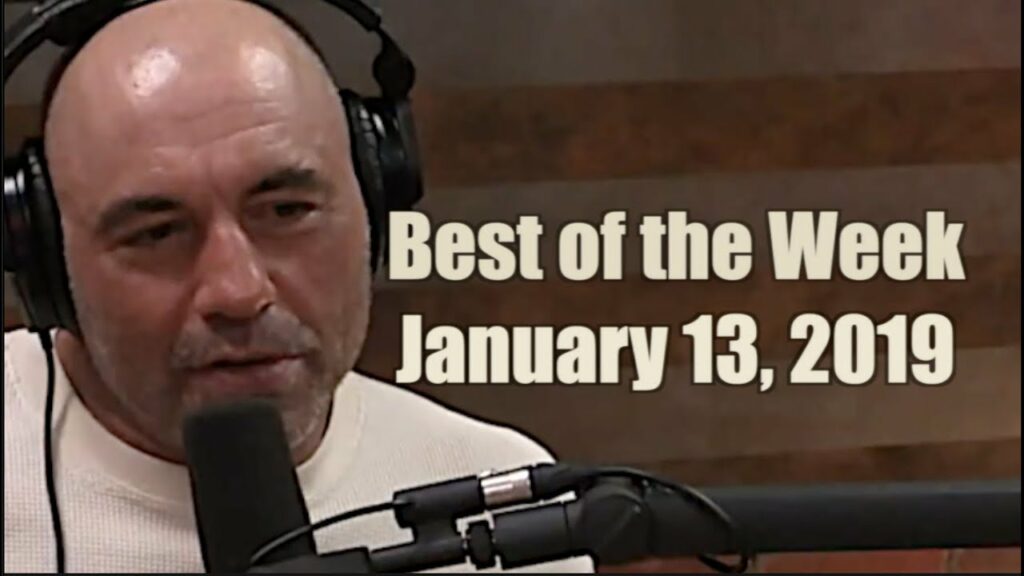 Best of the Week - January 13, 2019 - Joe Rogan Experience