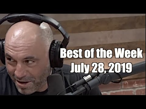 Best of the Week - July 28, 2019 - Joe Rogan Experience