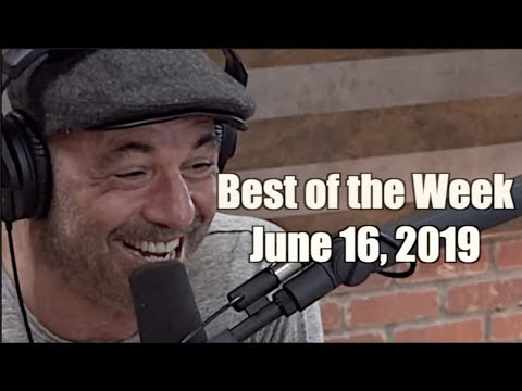 Best of the Week - June 16, 2019 - Joe Rogan Experience