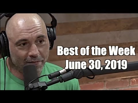 Best of the Week - June 30, 2019 - Joe Rogan Experience