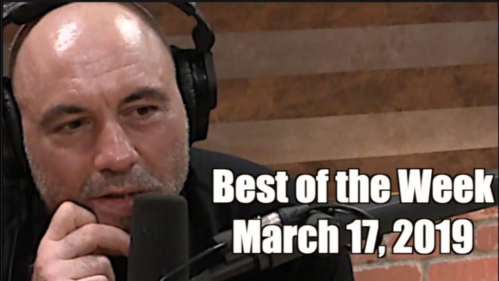 Best of the Week - March 17, 2019 - Joe Rogan Experience