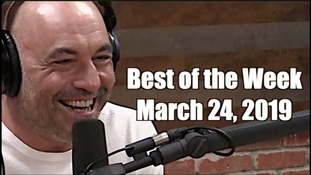 Best of the Week - March 24, 2019 - Joe Rogan Experience