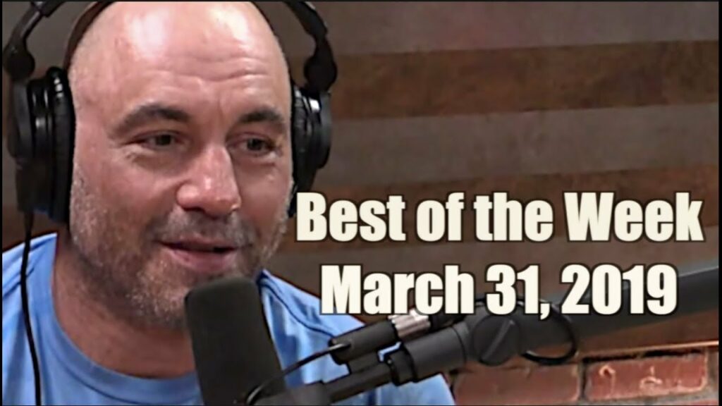Best of the Week - March 31, 2019 - Joe Rogan Experience