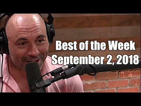 Best of the Week - September 2, 2018 - Joe Rogan Experience