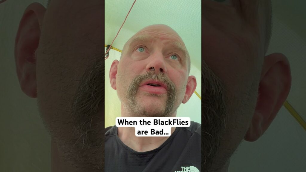 Blackflies are the scourge of the North