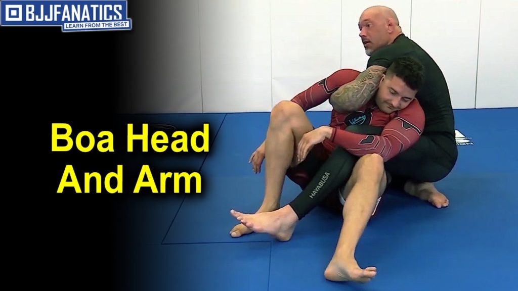 Boa Head & Arm by Neil Melanson