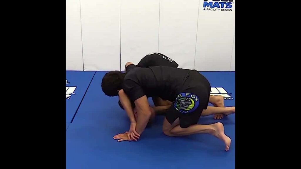 Bottom Turtle Fox U by Karel  Silver Fox  Pravec