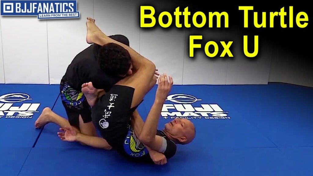 Bottom Turtle Fox U by Karel "Silver Fox" Pravec