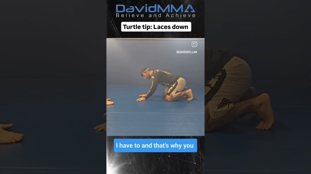 Bottom Turtle Knee Slide