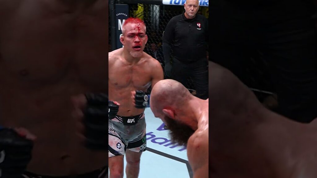 Brener with the LEFT HOOK 🤯 #ufcvegas108