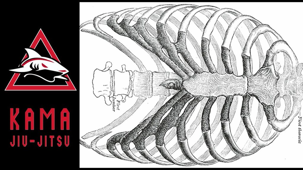 Broken or Popped Ribs? Jiu-Jitsu (BJJ) Injuries & What is the Treatment - Kama Vlog